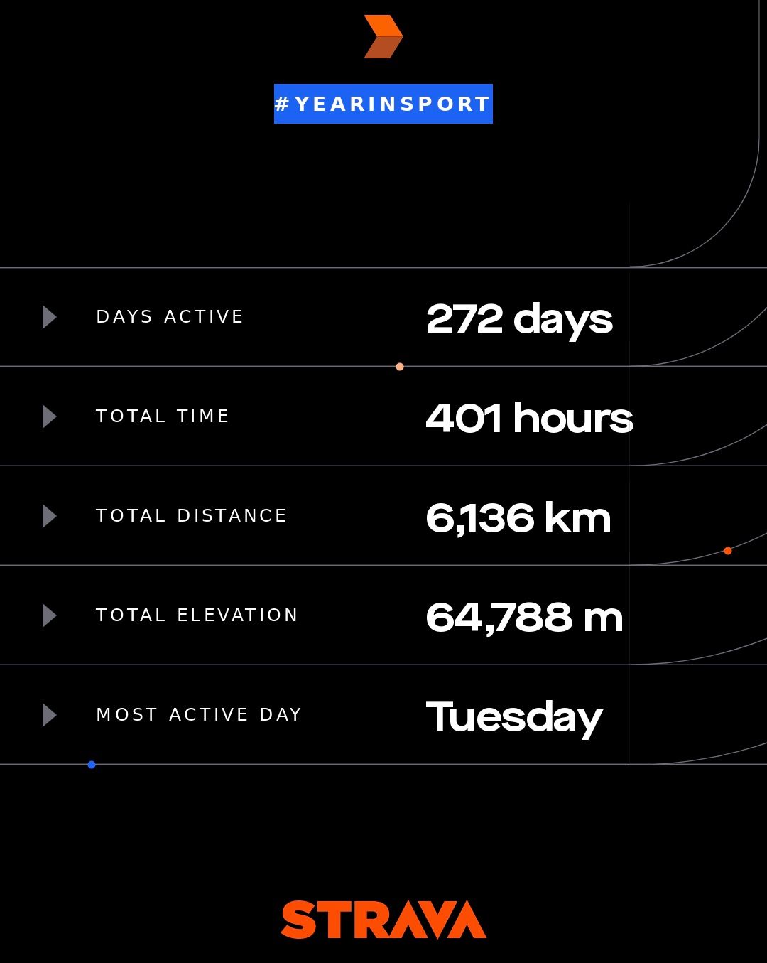 2019 Year in Sport