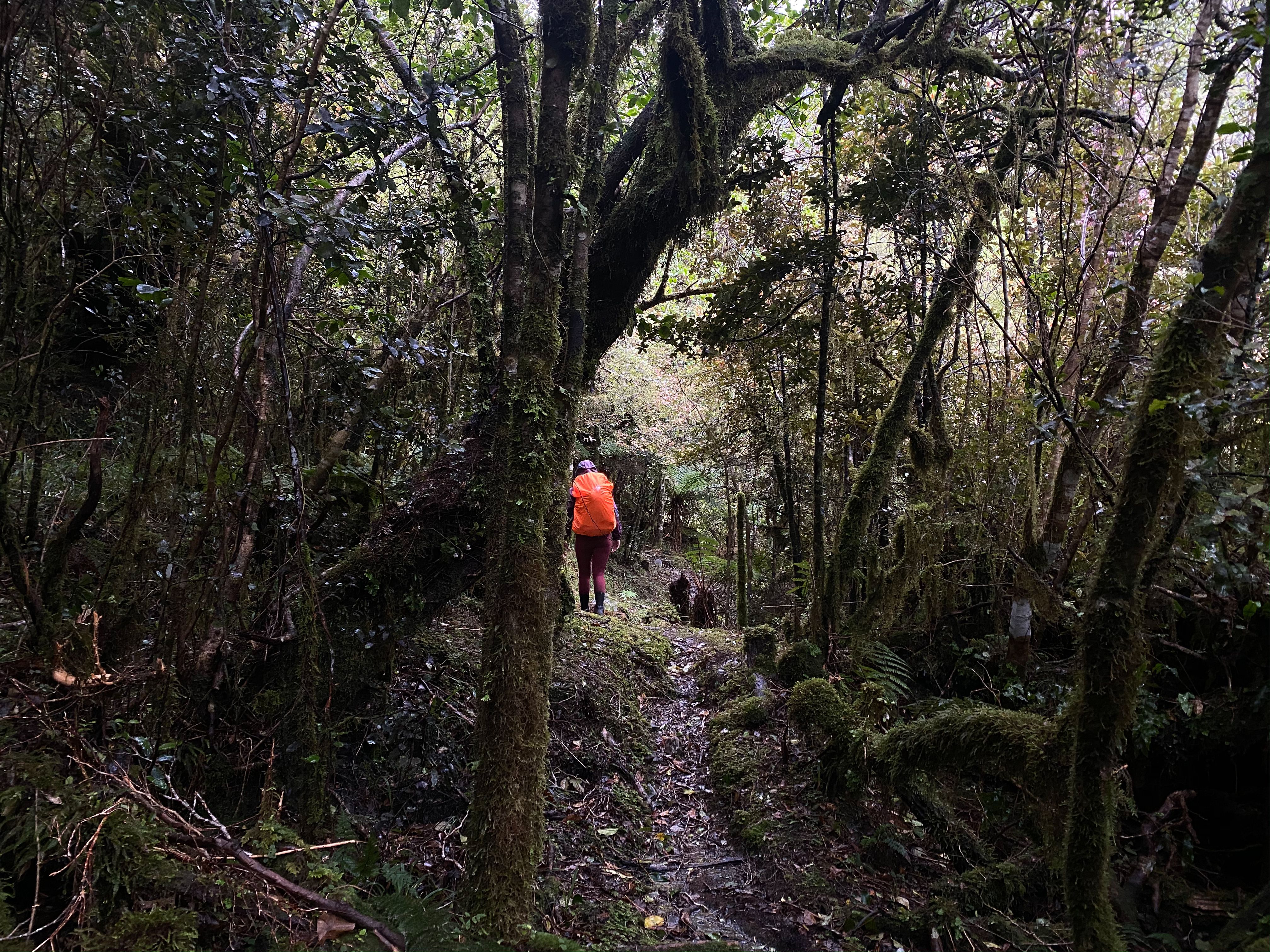 Some more gentle ascent near the hut.