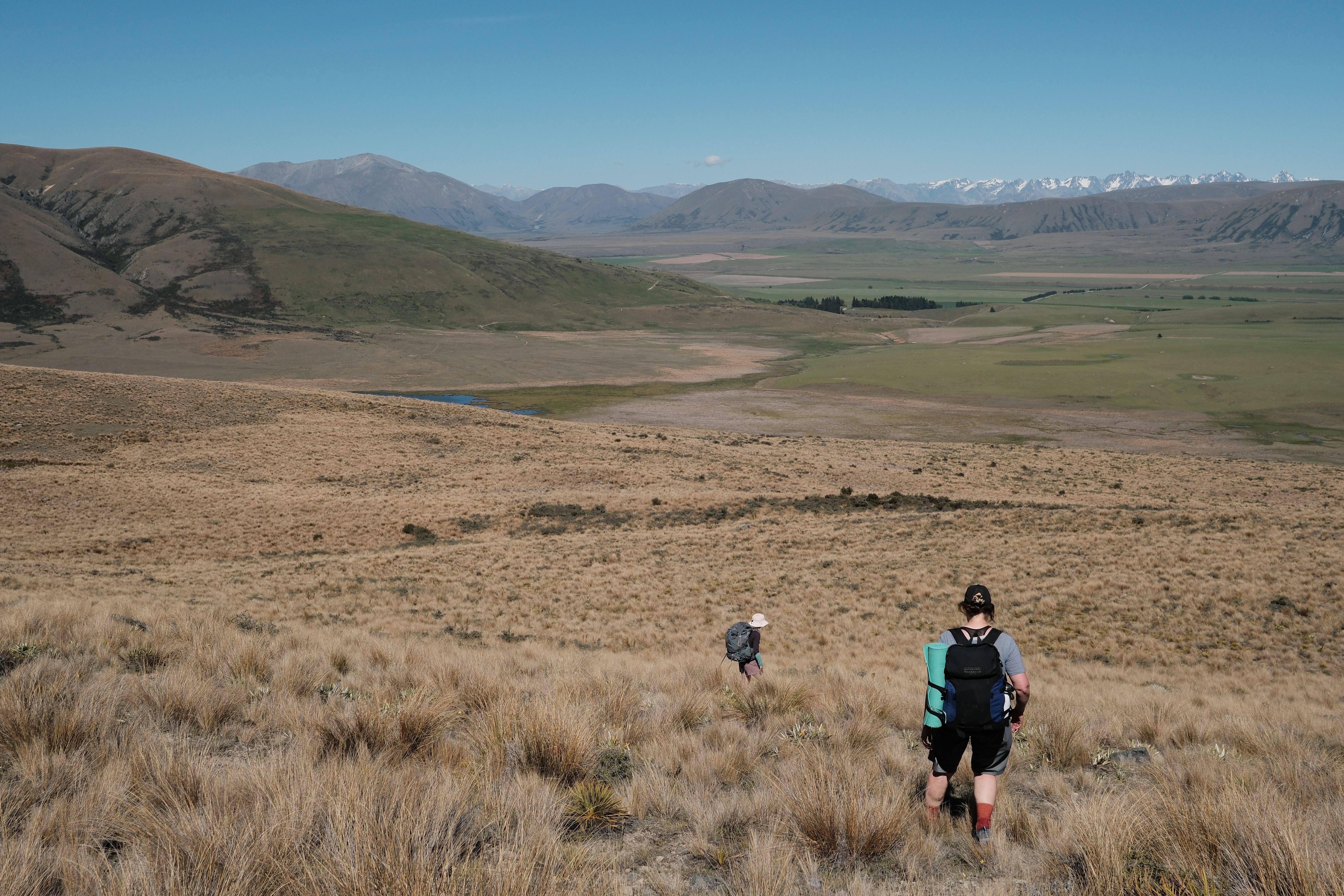 Heading down to Lake Emily (out of sight) to water Korra before heading back towards the car.