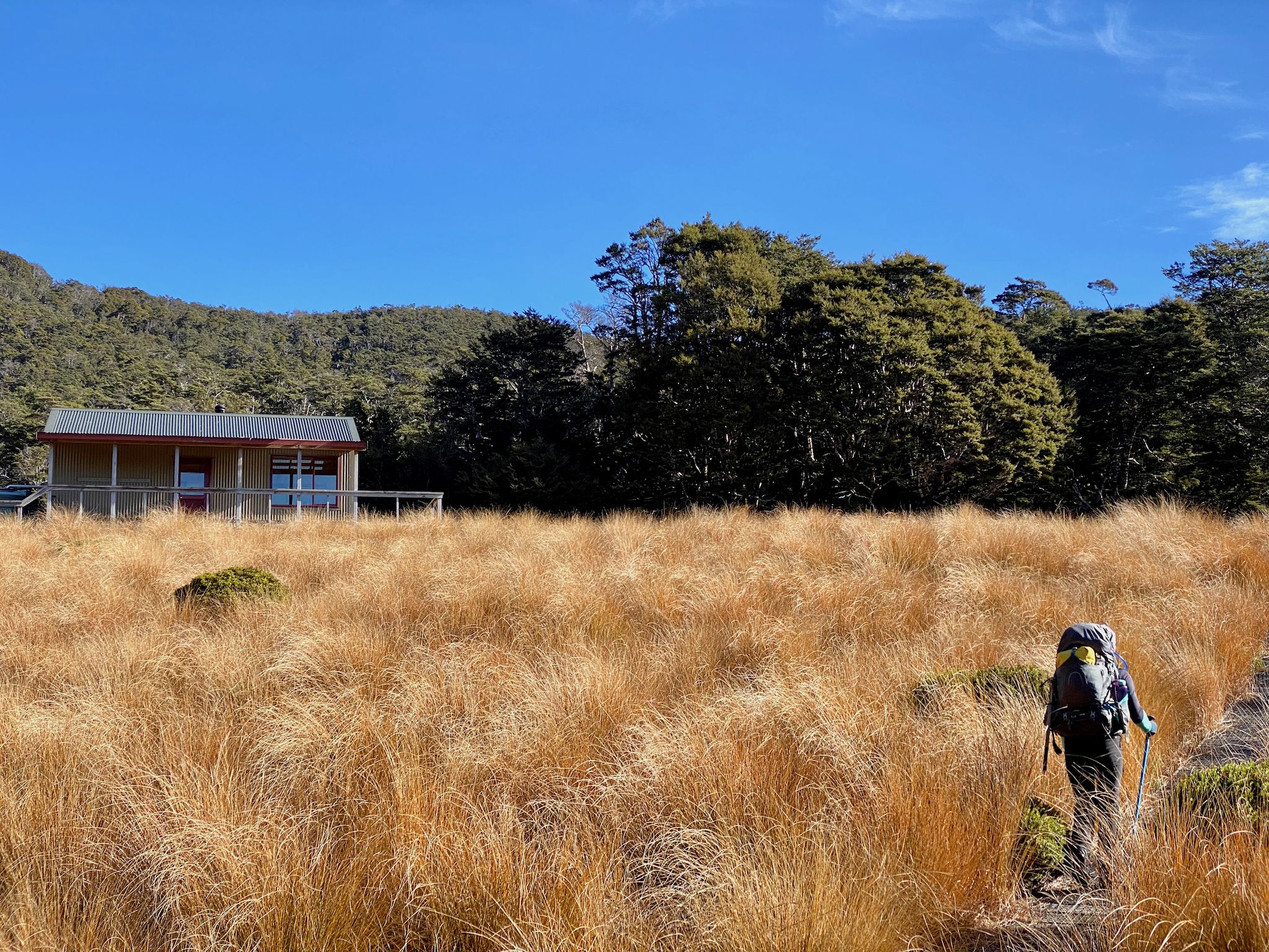 Speargrass Hut