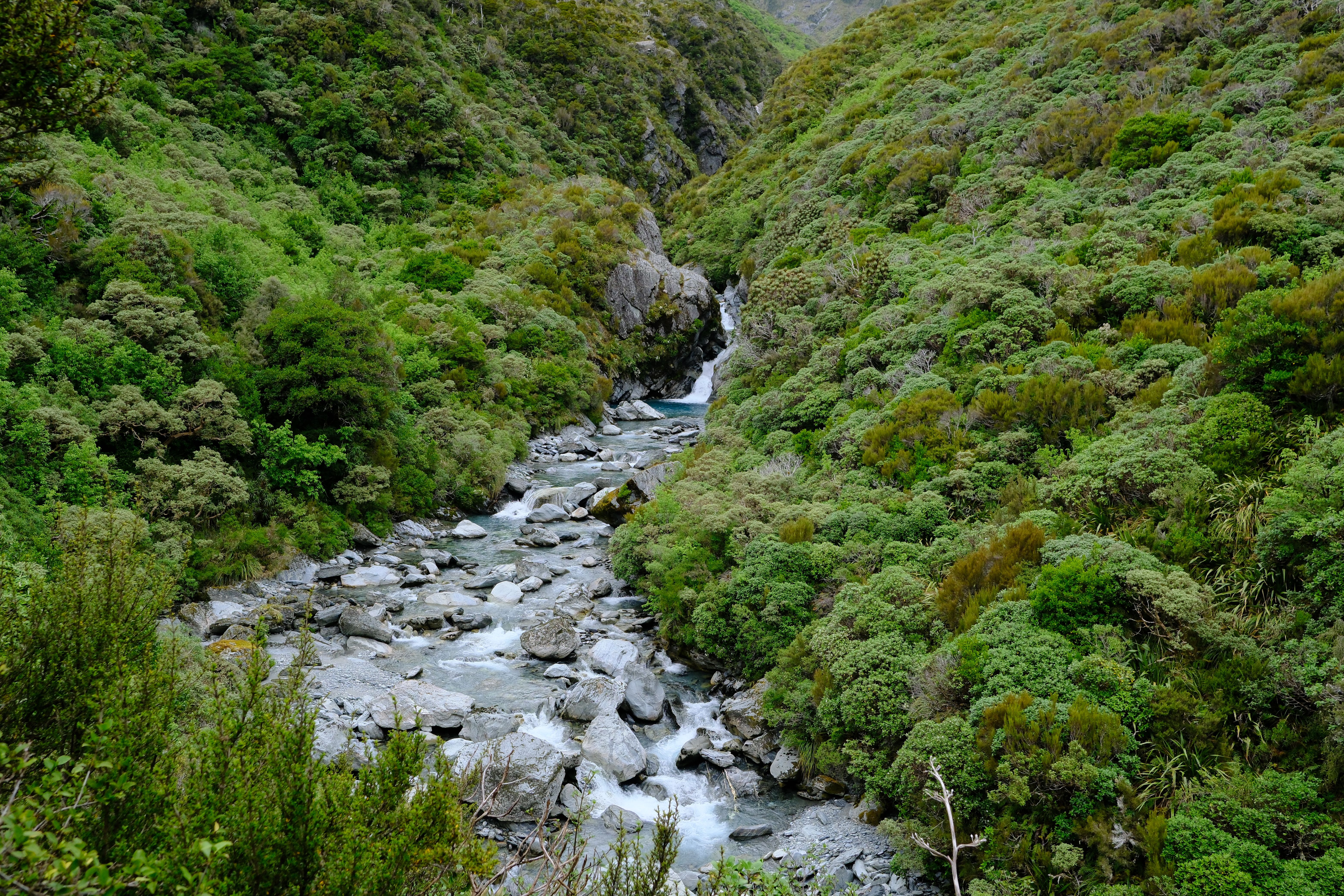 Harman River looking lush.