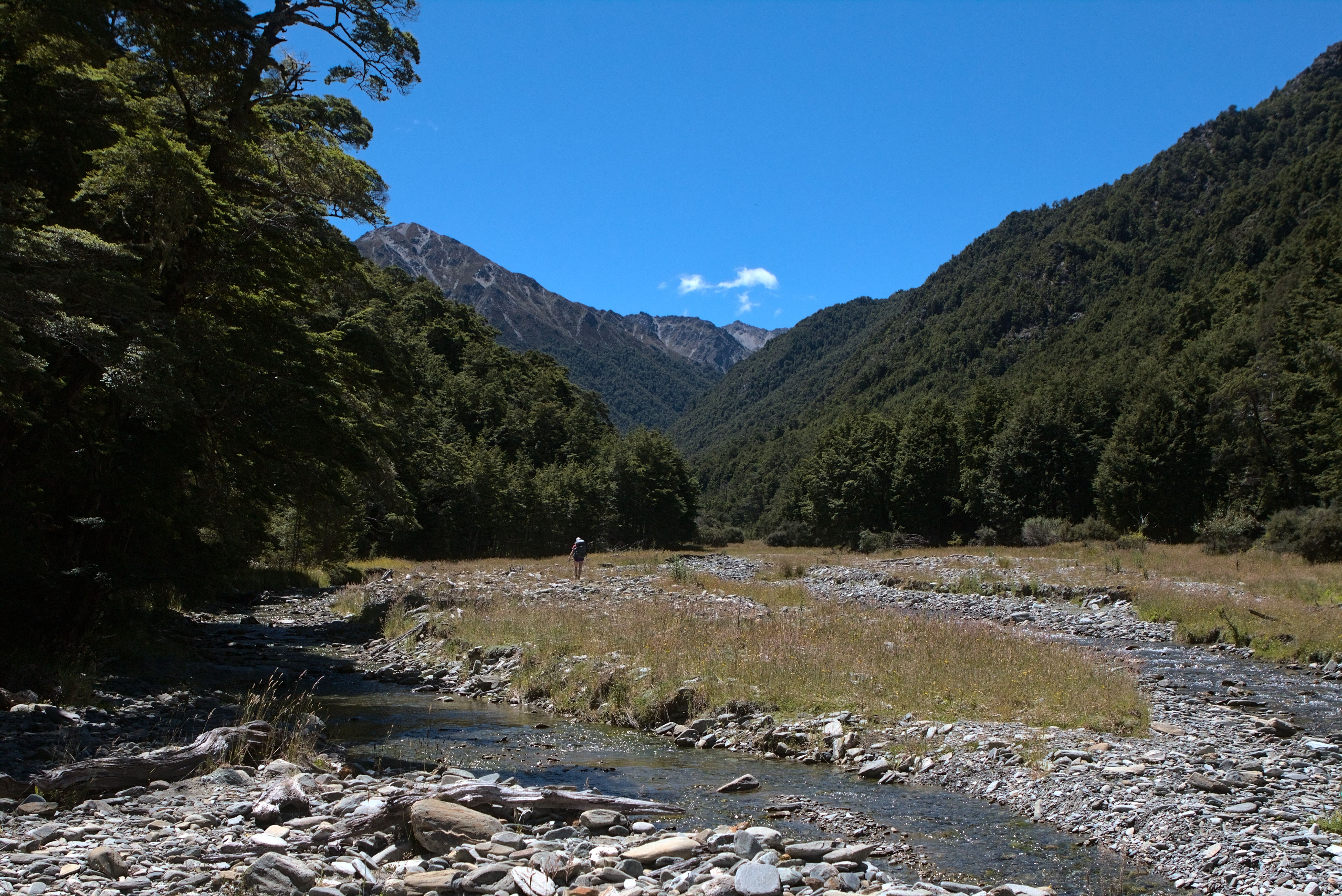The unnamed creek opens out after a time to a lovely highcountry valley.