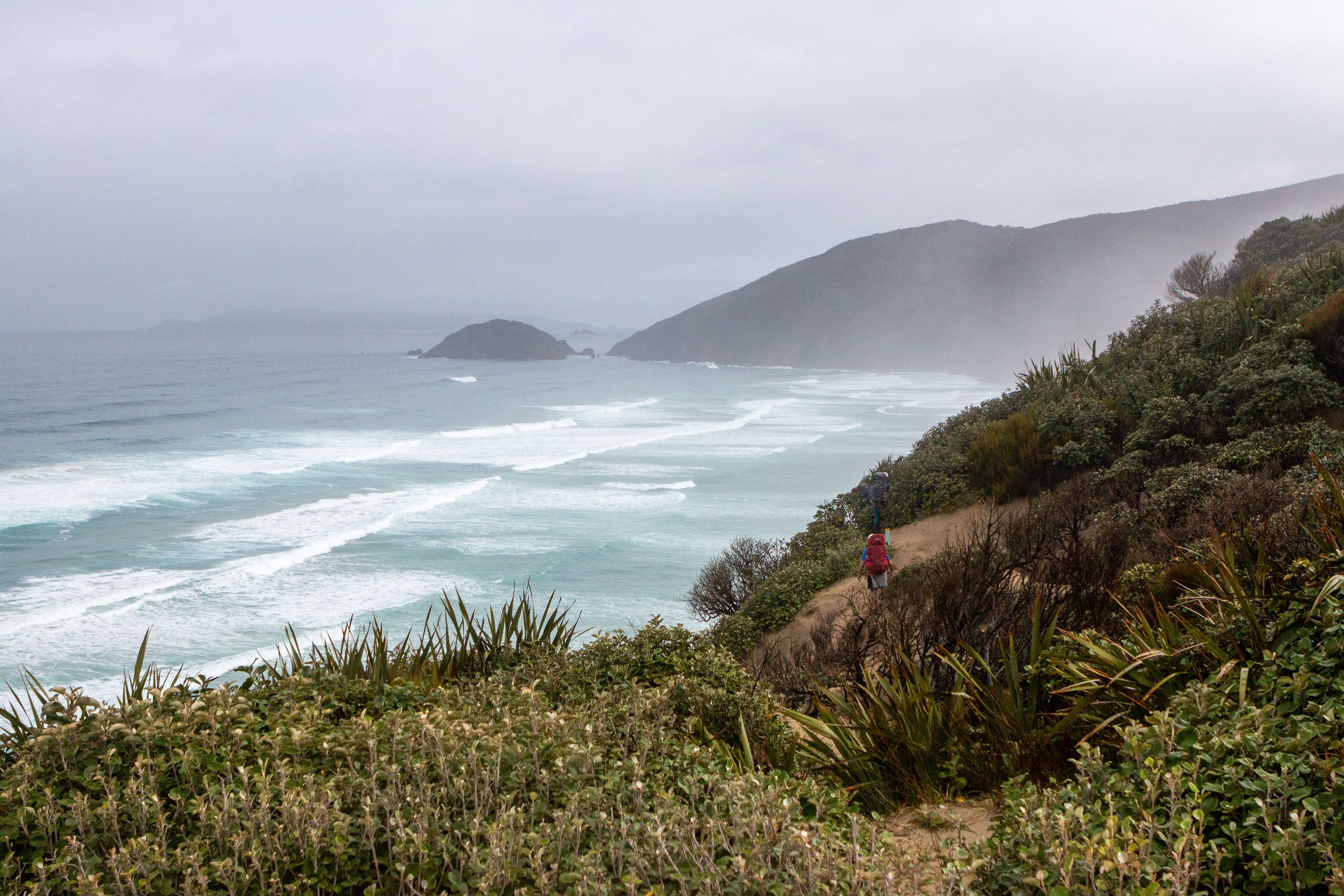 On the High Tide Track of Mason Bay.