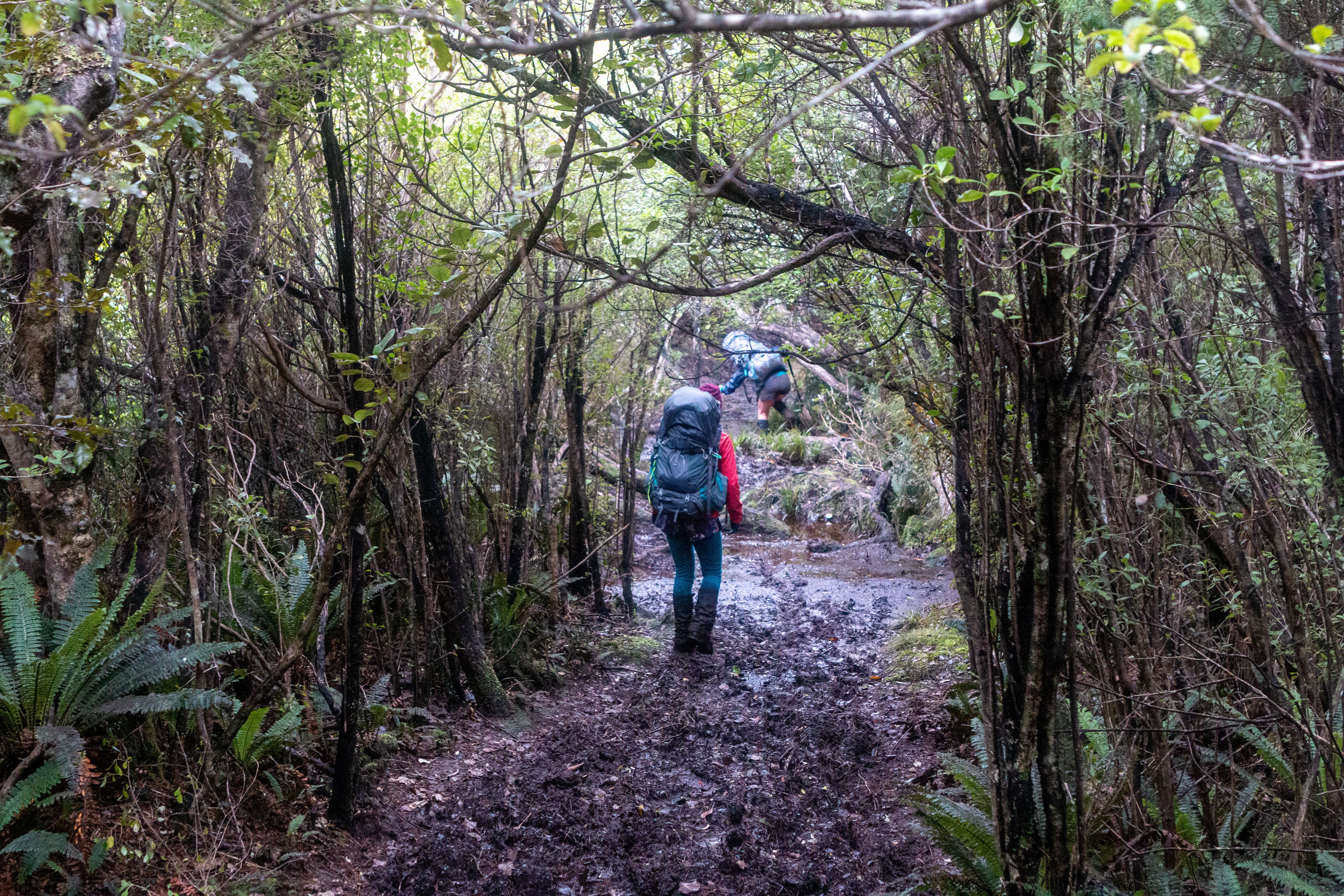 Some classic Rakiura mud.
