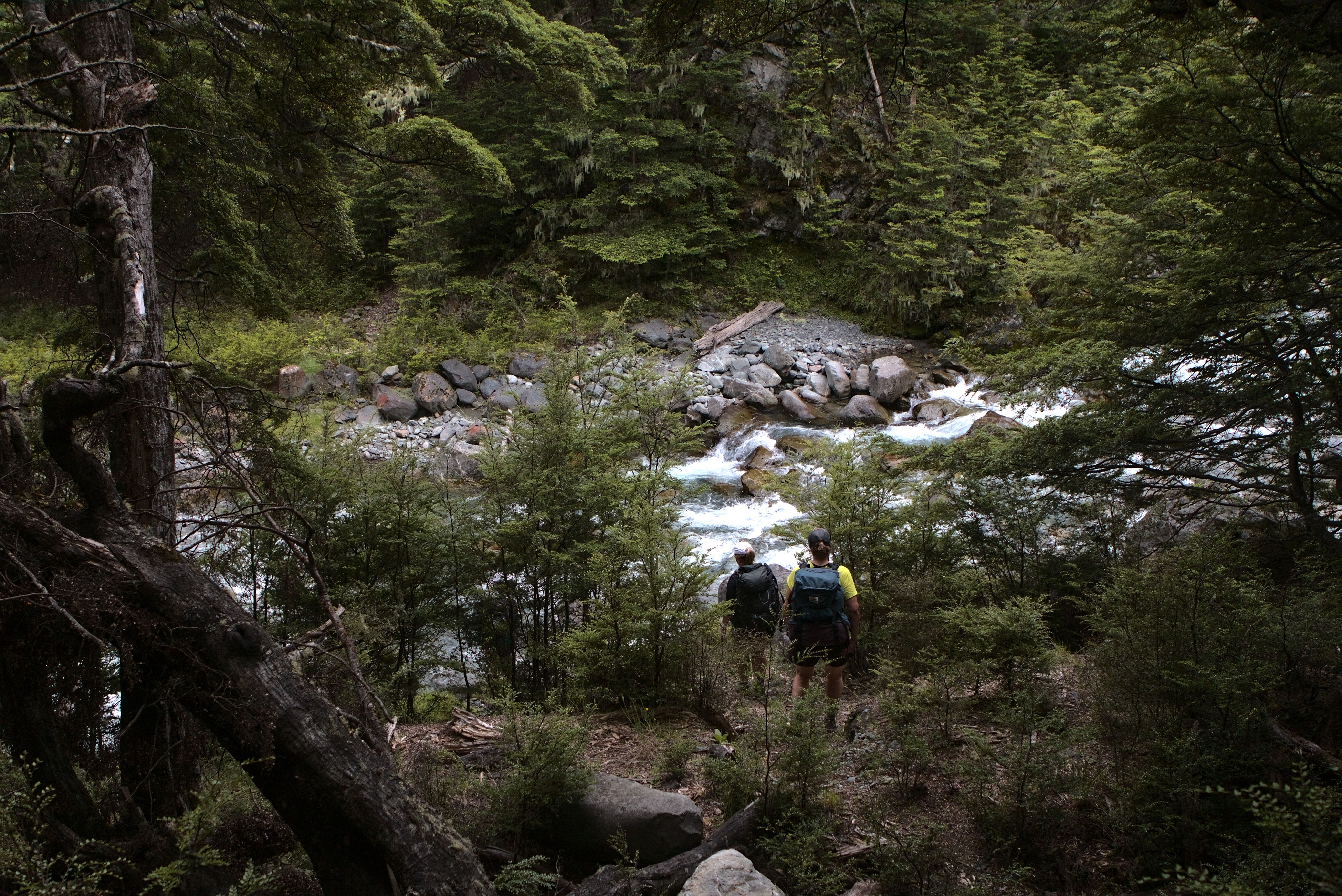 Crossing Maitland Stream.