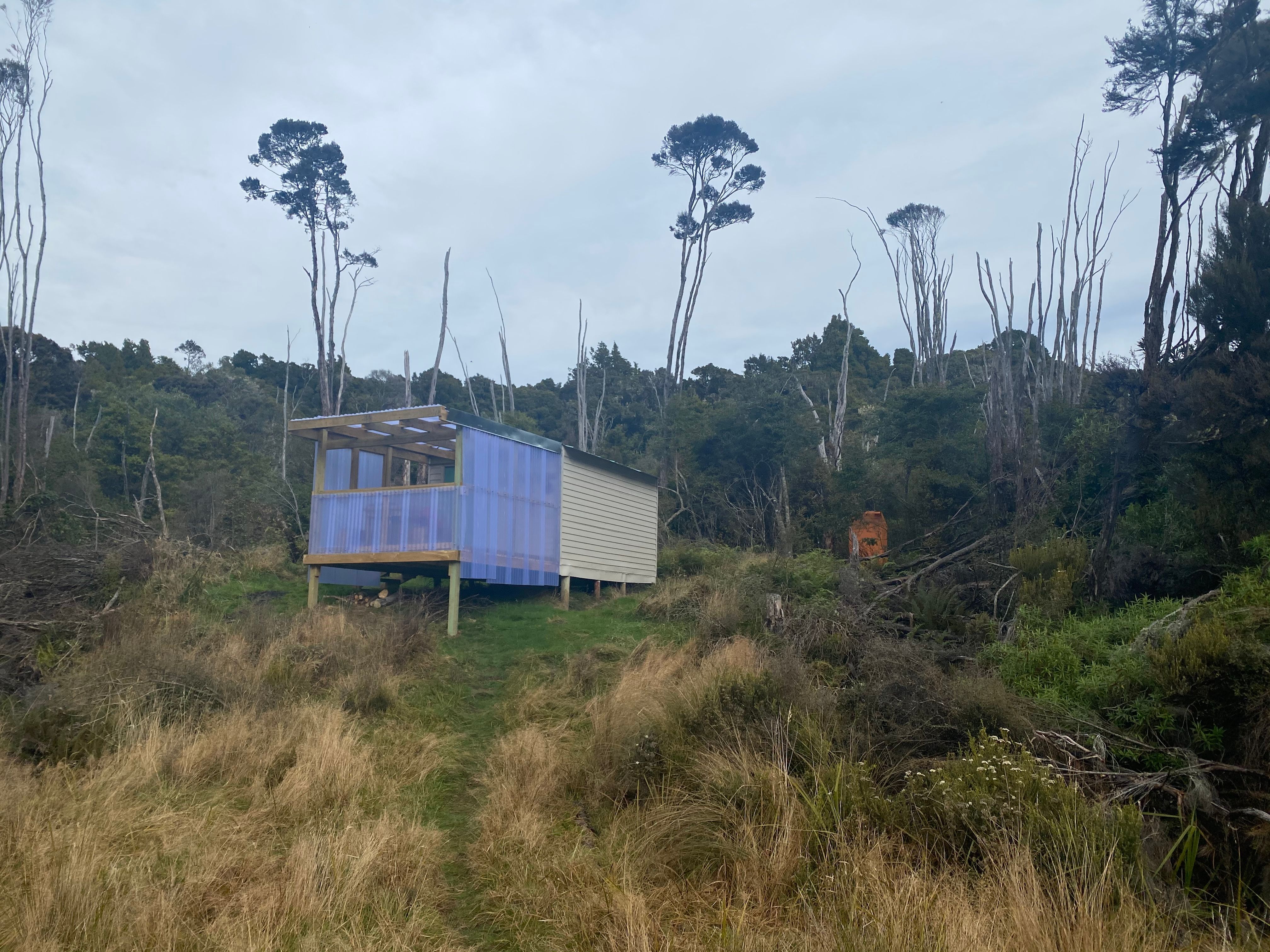 The quirky Tautuku Hut.