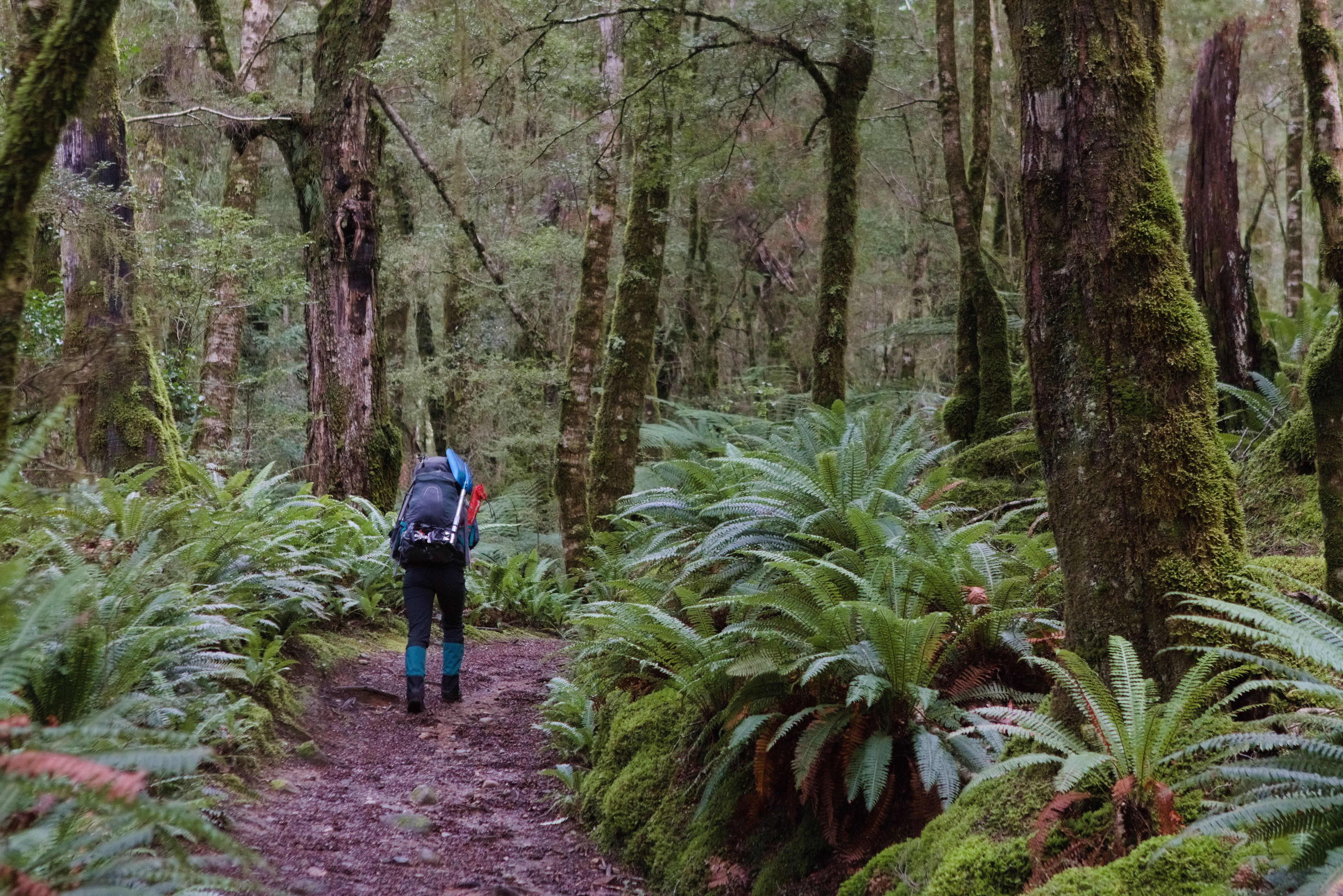 The incline to Luxmore Hut begins.