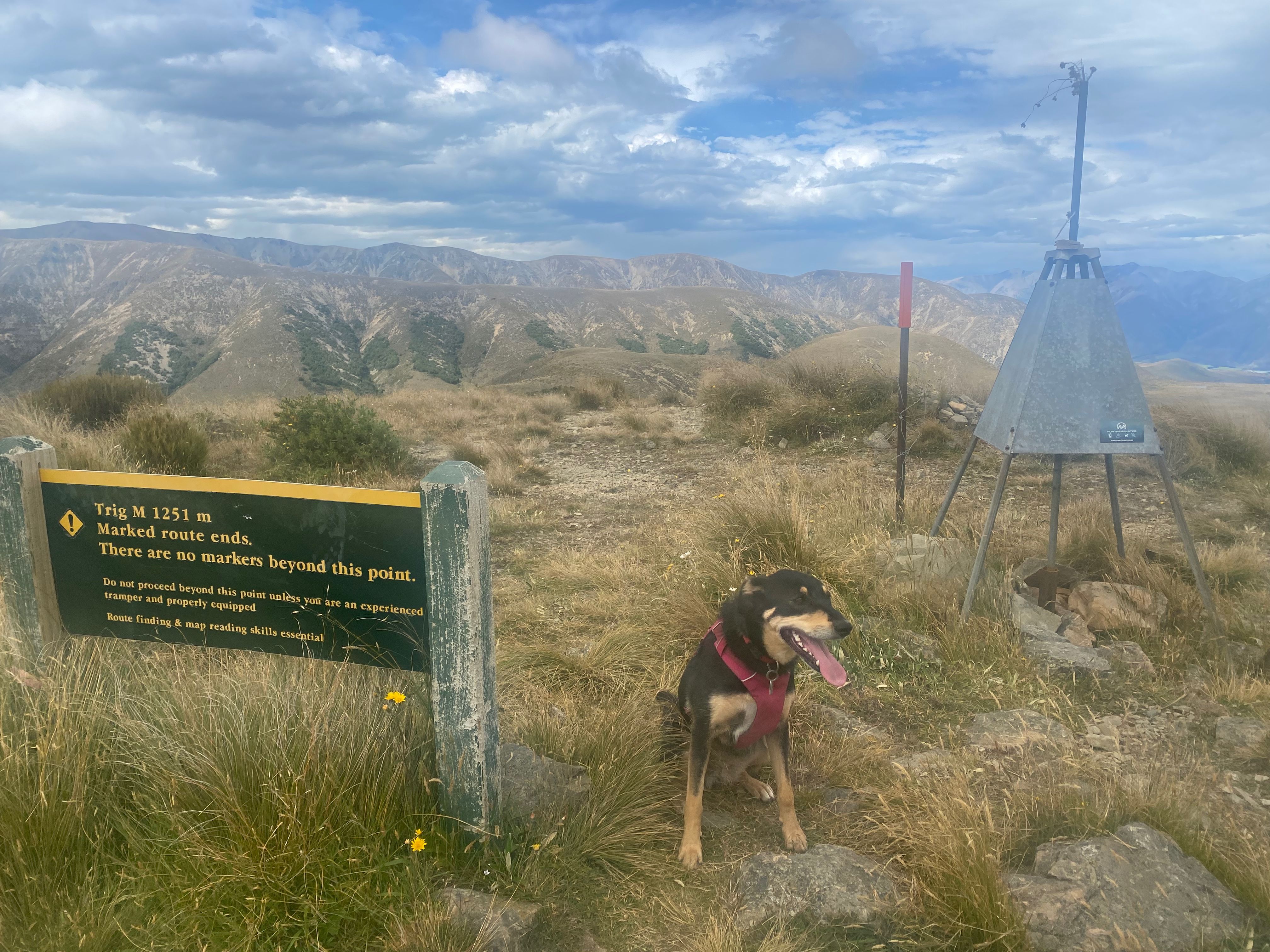 Korra at Trig M.