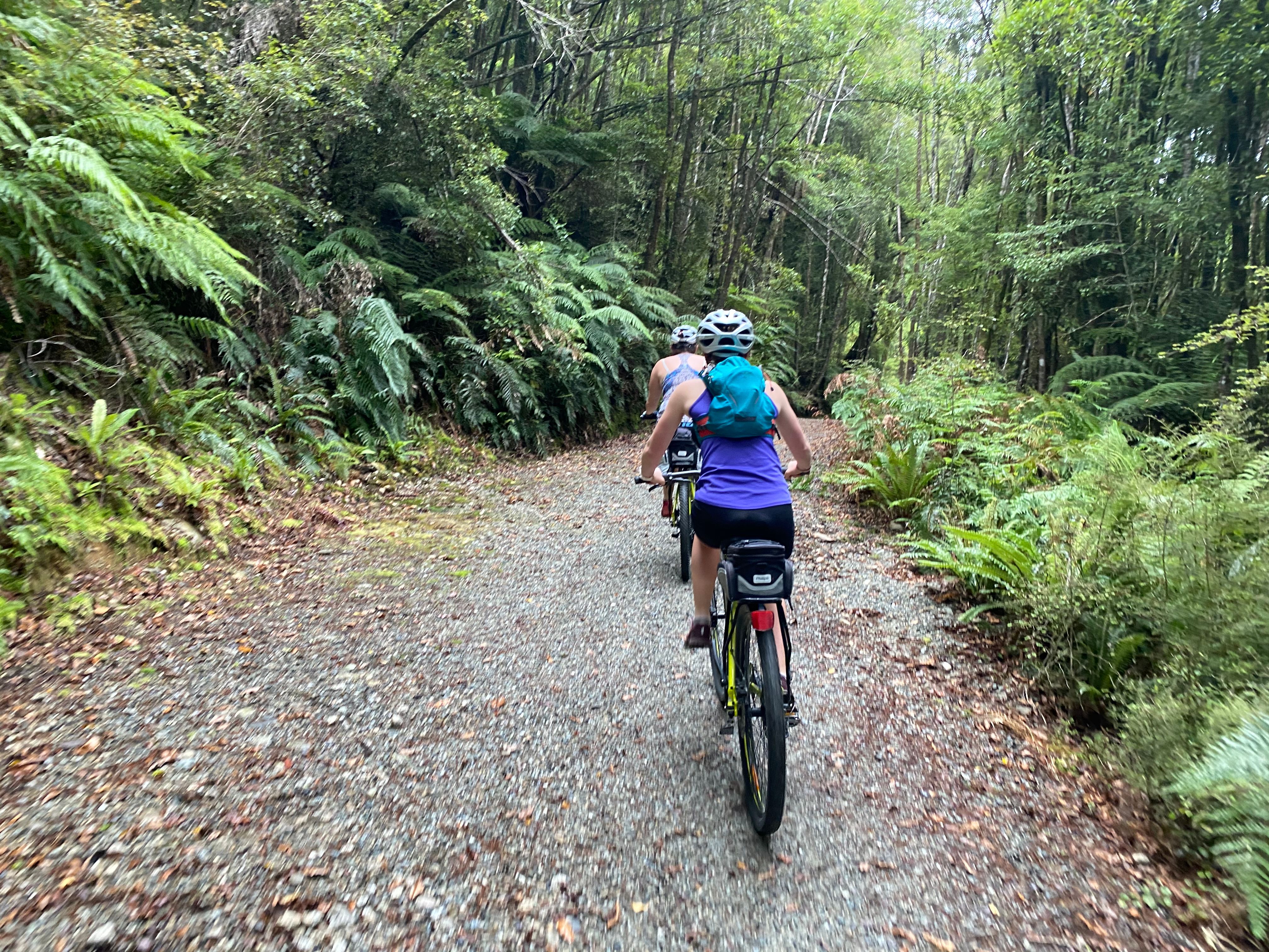 Some of the early trail in the forest - simply beautiful.