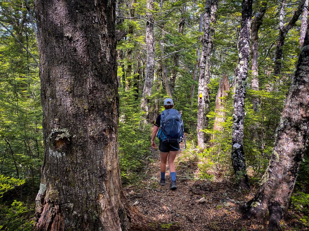 Jen secending View Hill - Mt Oxford Track