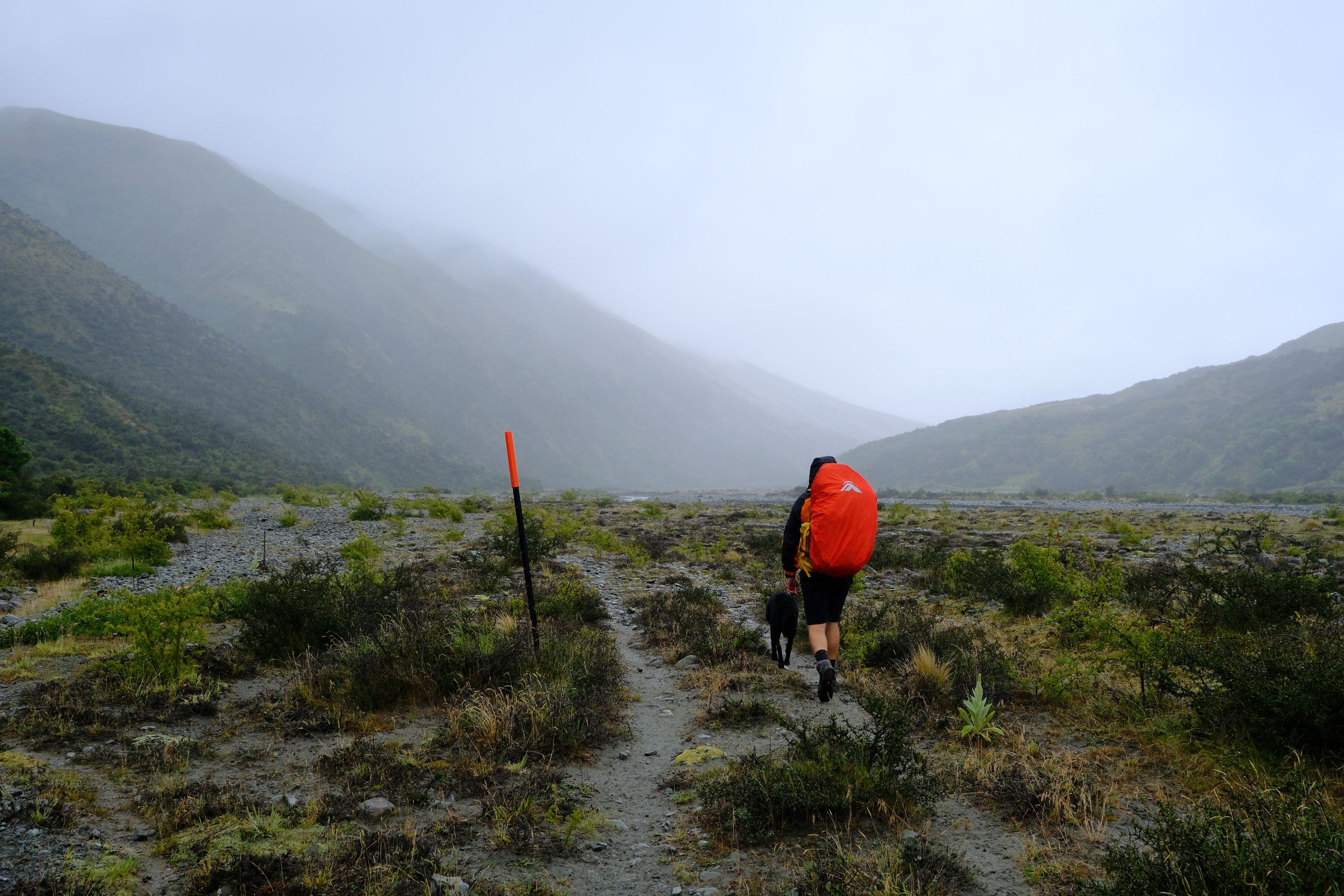 Tim and Ted trudging into the mist.