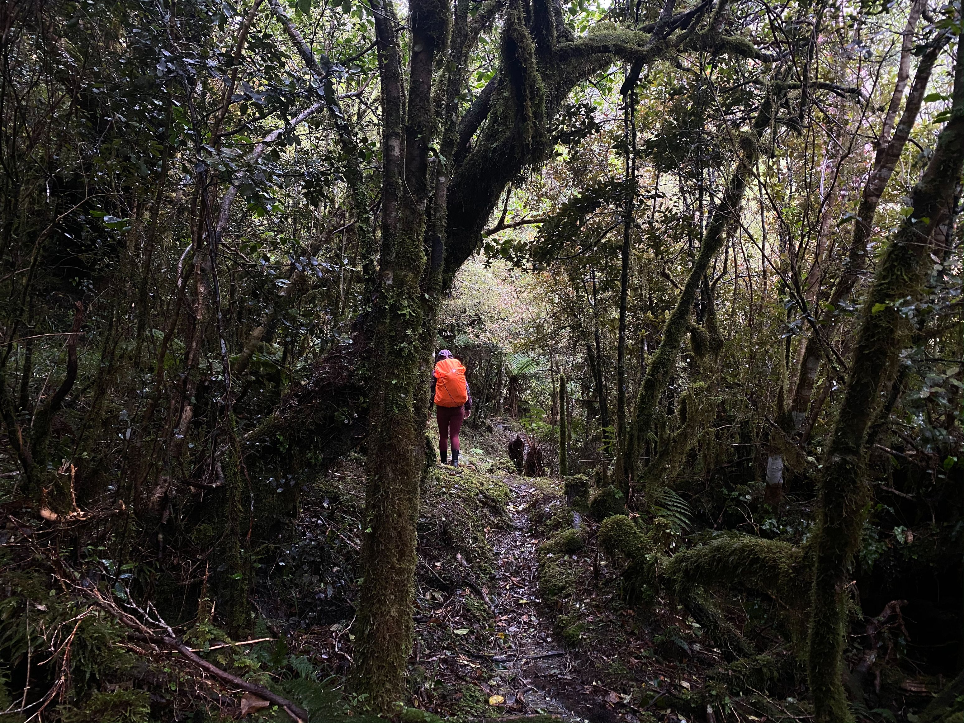 Some more gentle ascent near the hut.