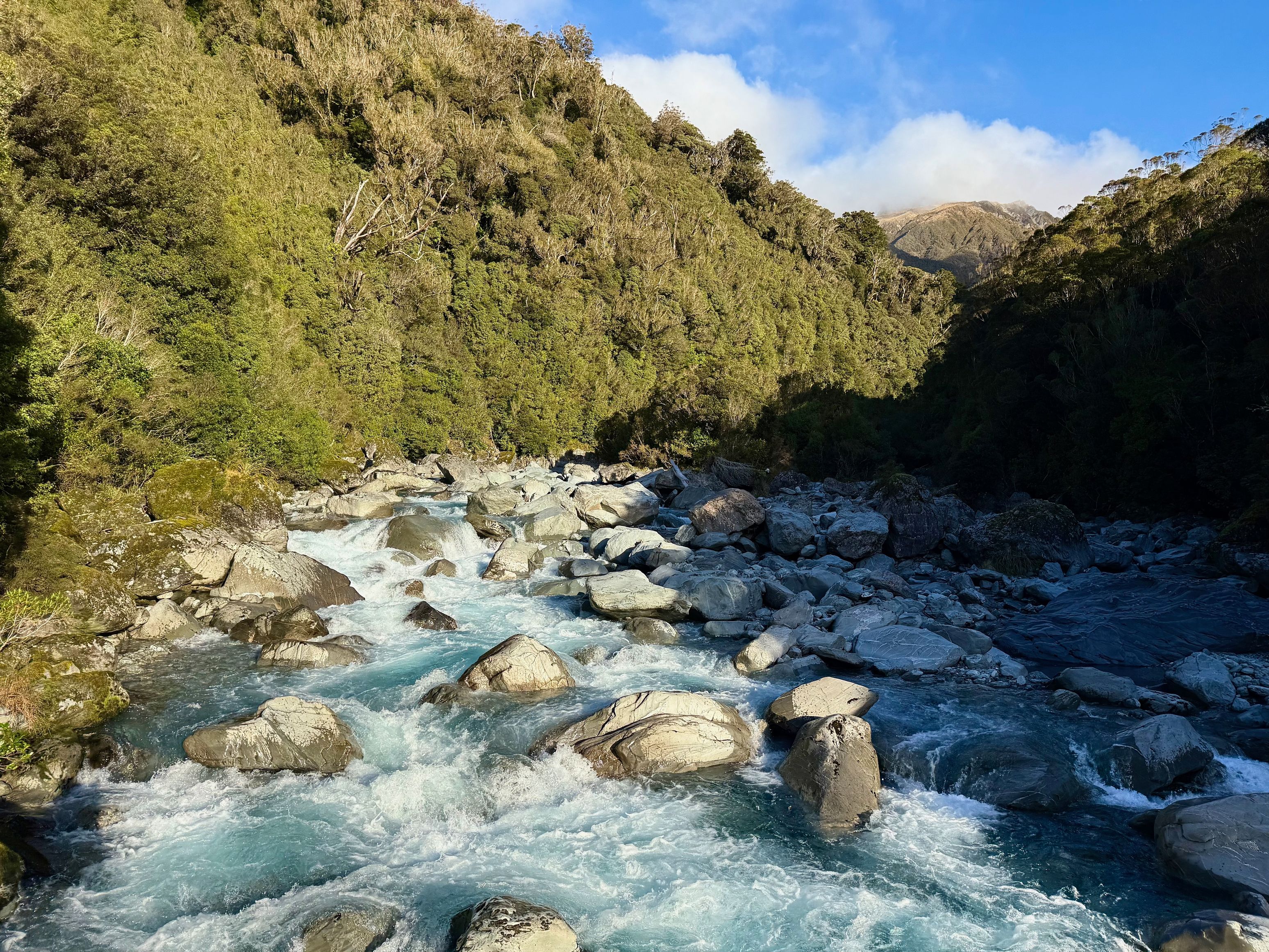 The view upstream from the cableway.