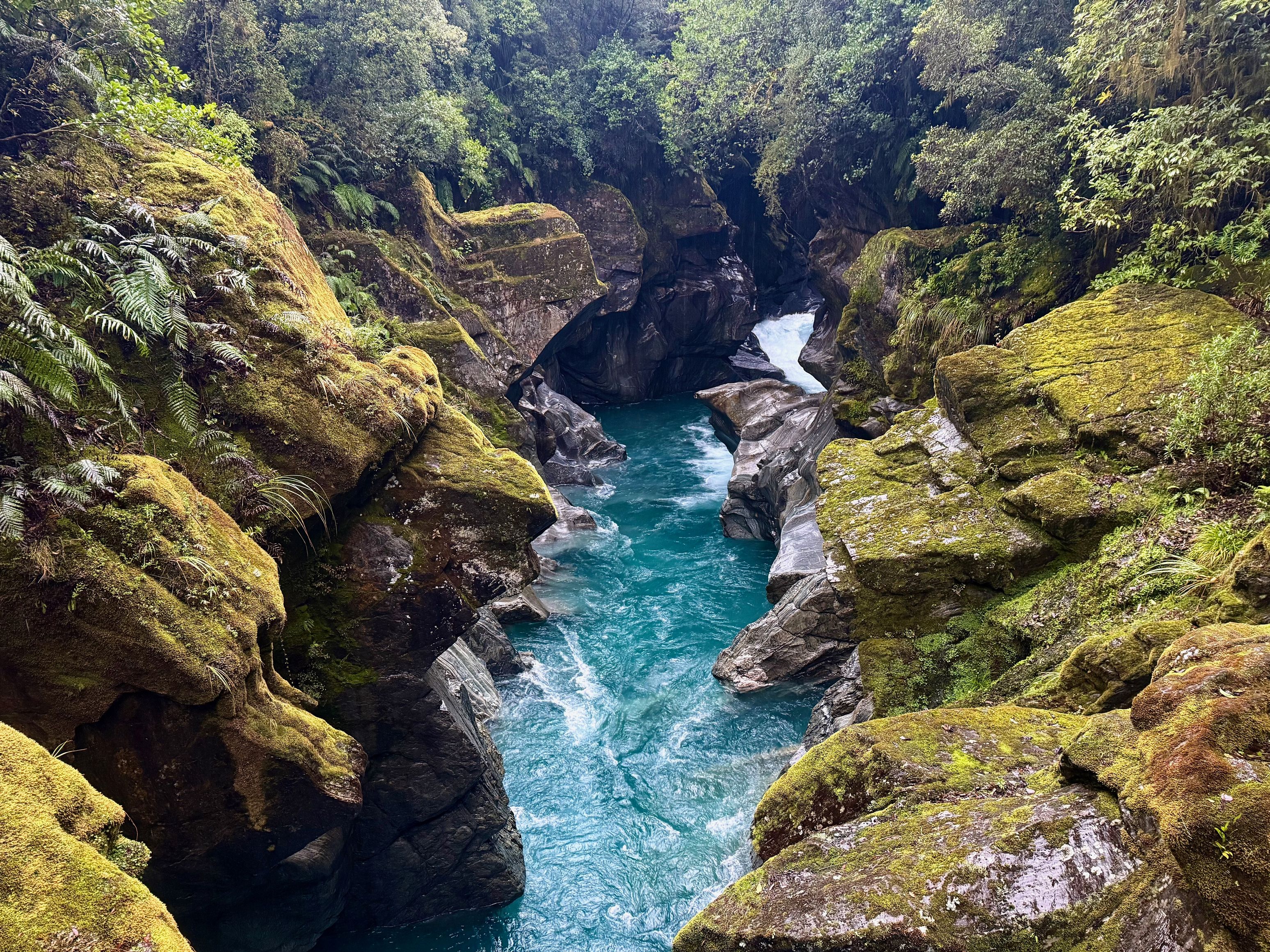Whakarira Gorge looking absolutely stunning.