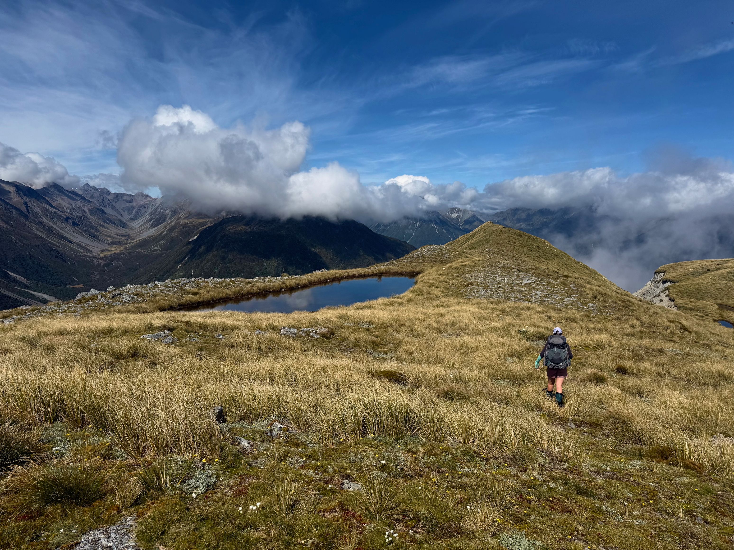 Jen trucking along the Kelly Range with Hunts Creek on the left in the distance. The hut is located in the tussocked clearing just above the foreground ridge.