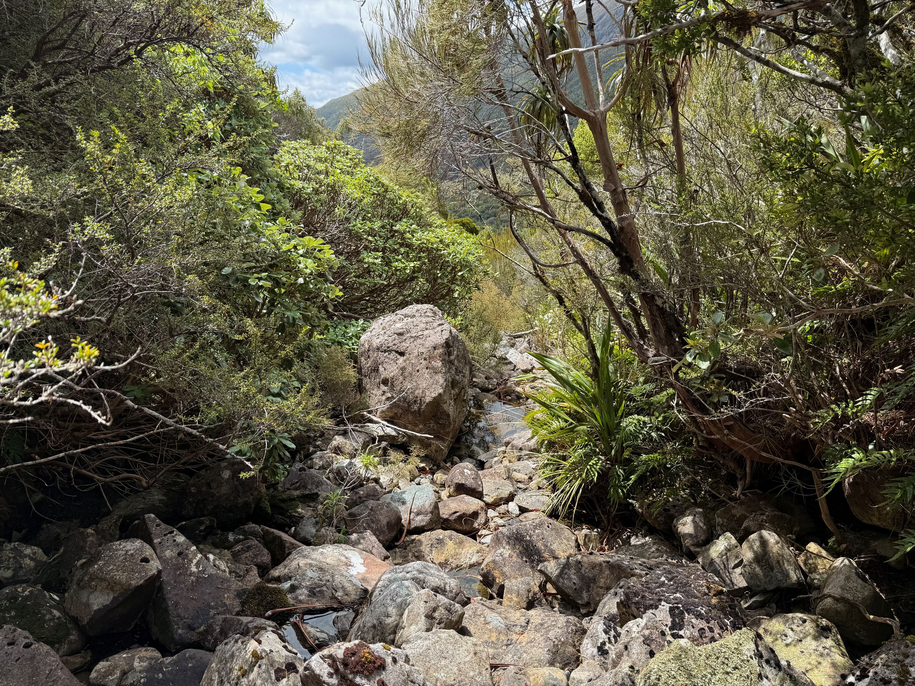 Clambering down the little creek that drains the marsh above Hunt Saddle.