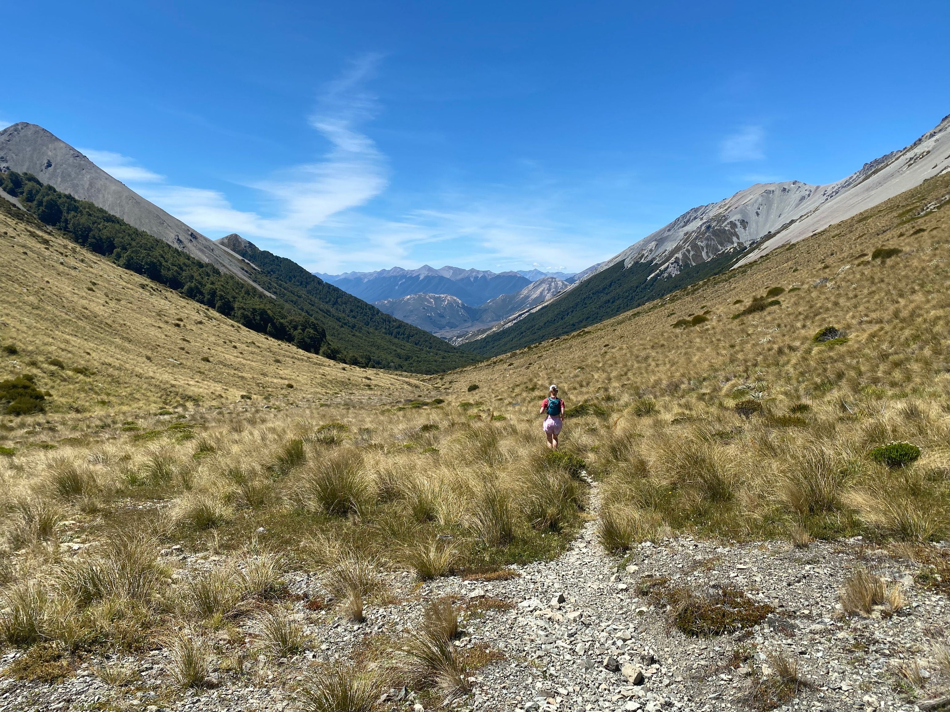 Descending from Cass Saddle towards Cass Saddle Hut in the trees.