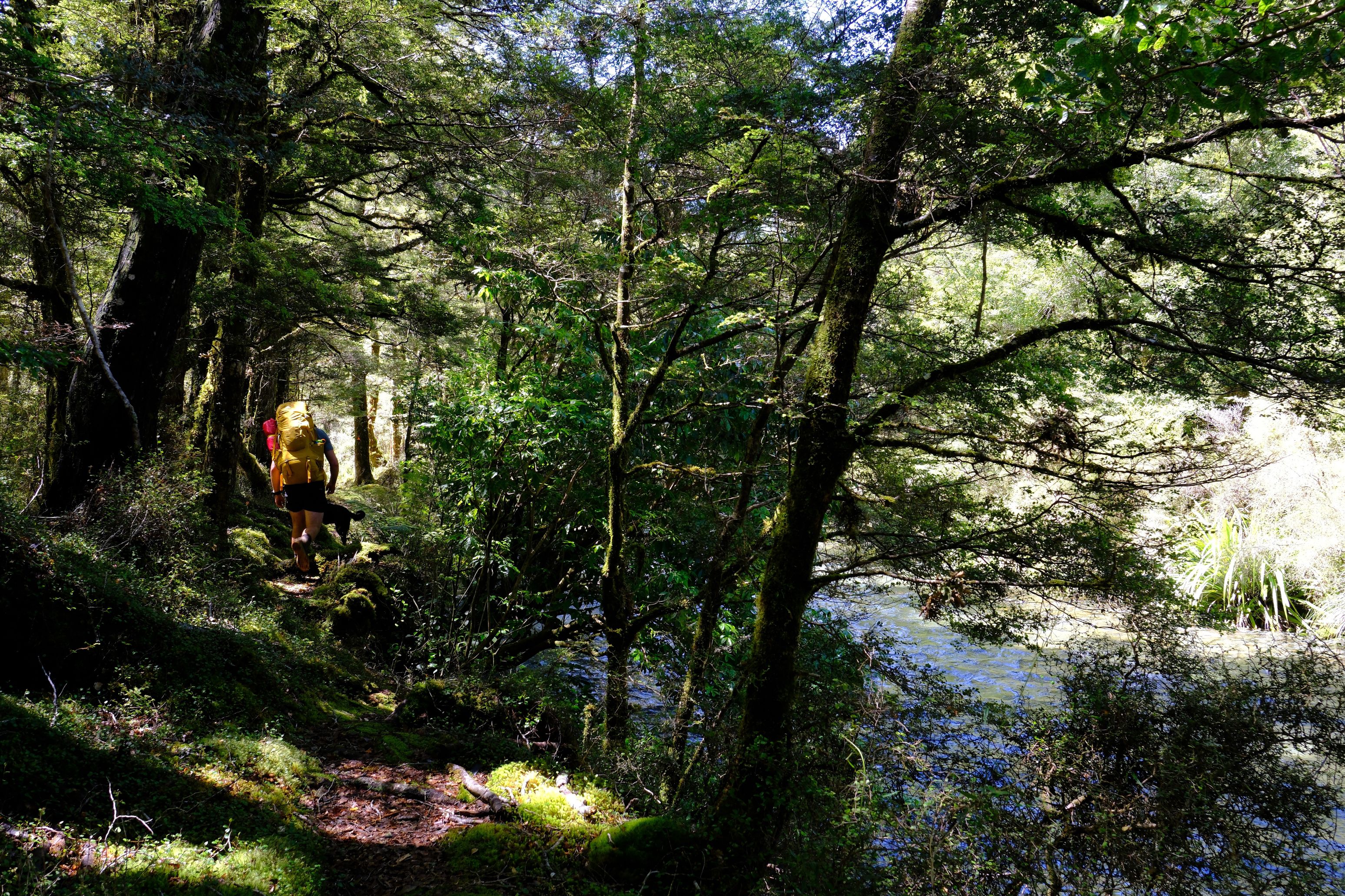 Tim alongside the Blue Grey River with an excellently coloured backpack.