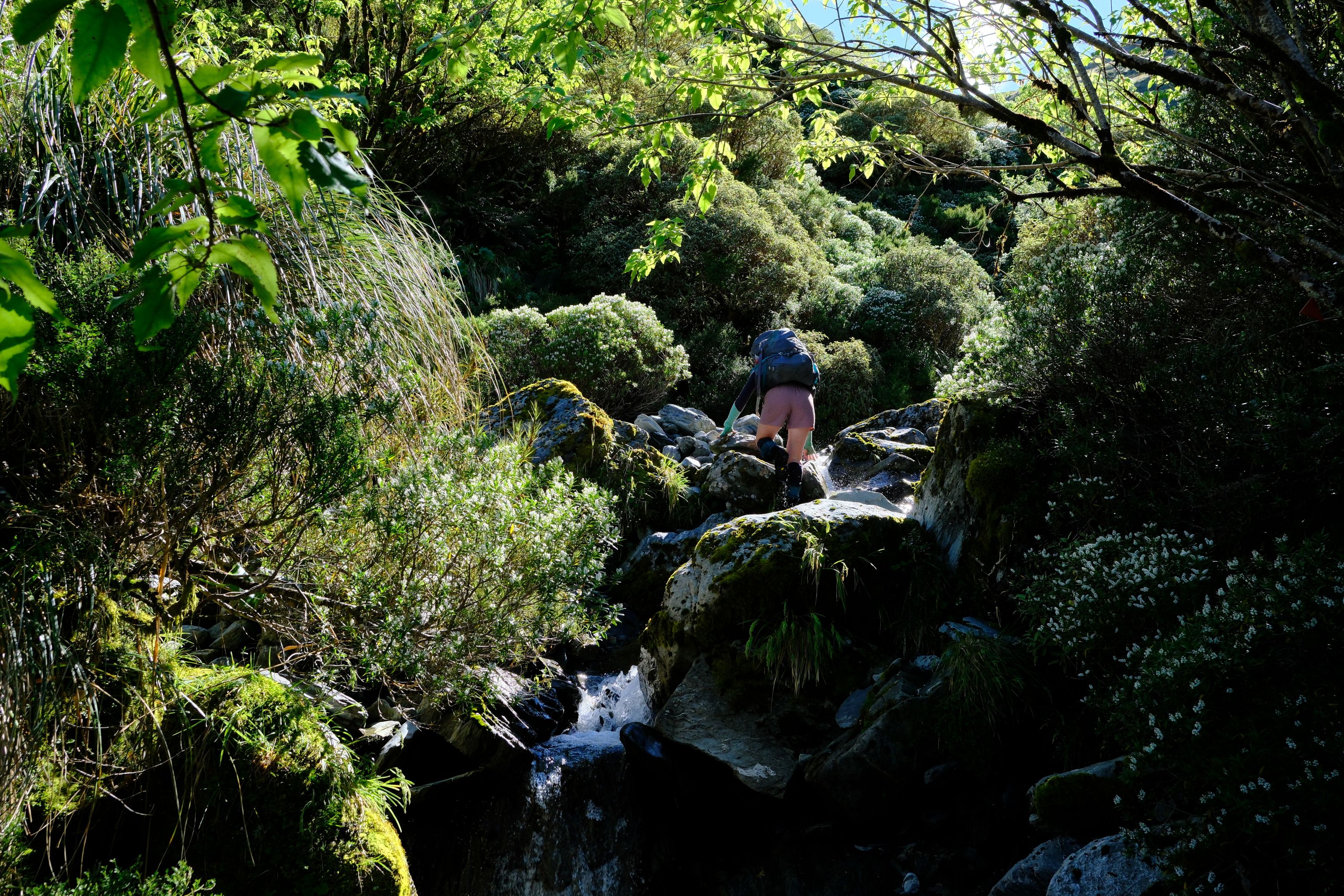 Jen avoiding slippery rocks while clambering up the creek.