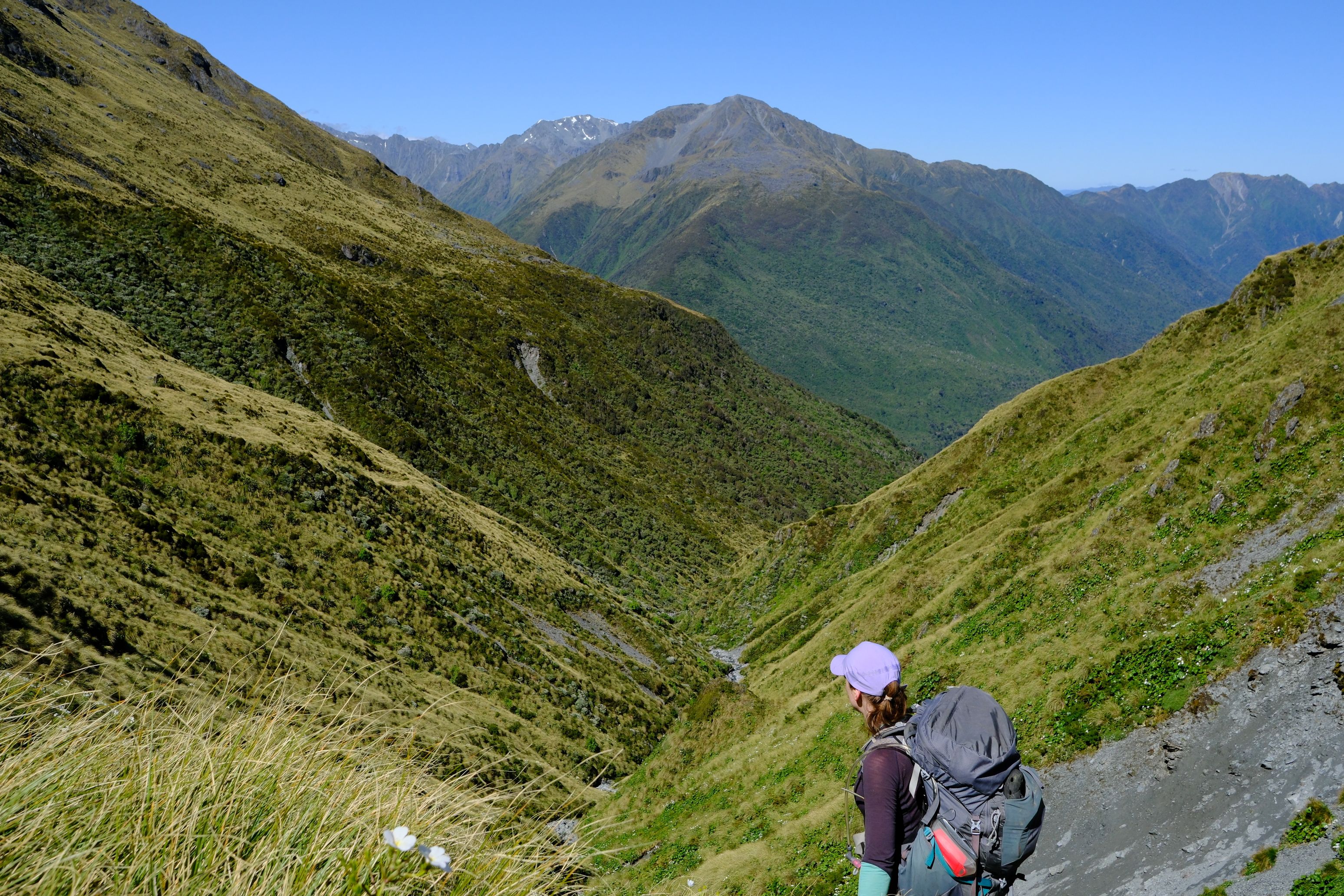 Looking back at Newton Creek from Newton Saddle.