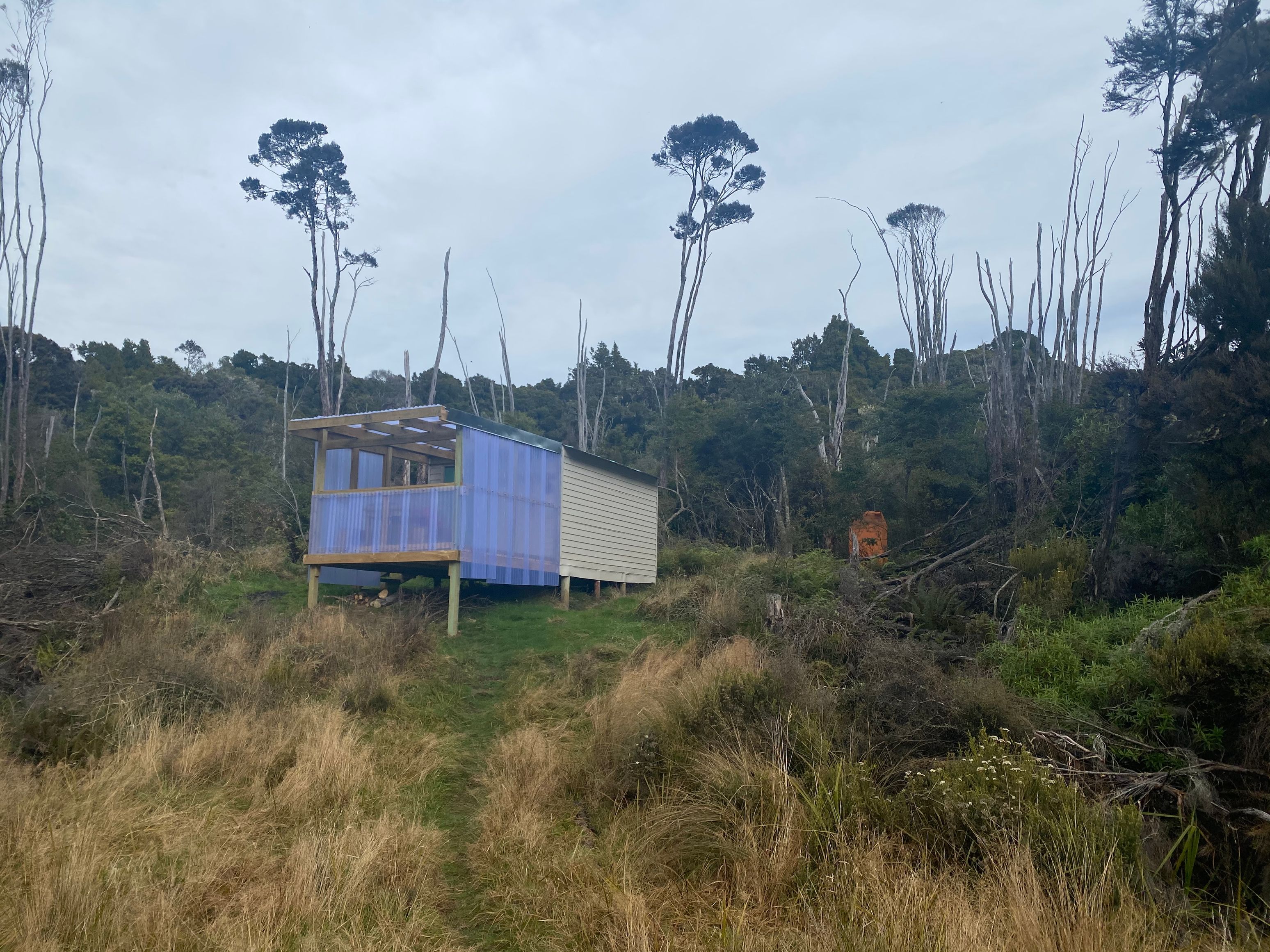 The quirky Tautuku Hut.